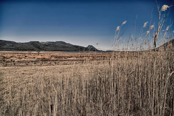 Güney Afrika ıssızlık vadisinde  