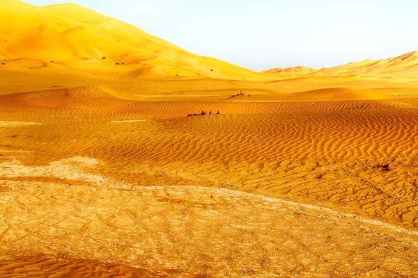 Em oman velho deserto esfregar al khali o quarto vazio e ao ar livre — Fotografia de Stock