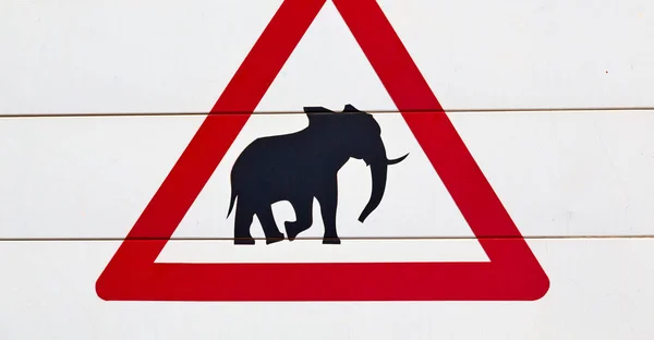 In Zuid-Afrika close-up van het teken van de olifant — Stockfoto
