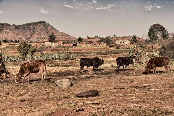 Dans le village de rue lesotho — Photo