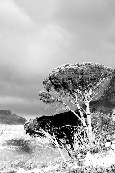 В південній Африці панорамний з настільної гори — стокове фото