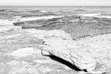   Güney Afrika kıyı şeridi ve doğal park rezerv