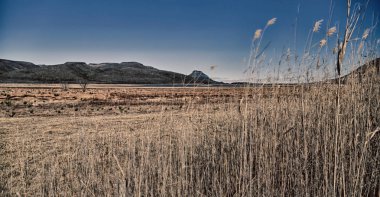  Güney Afrika ıssızlık vadisinde  