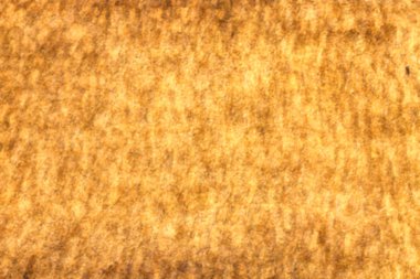 soyut çimenler gibi arka plan bulanıklık  