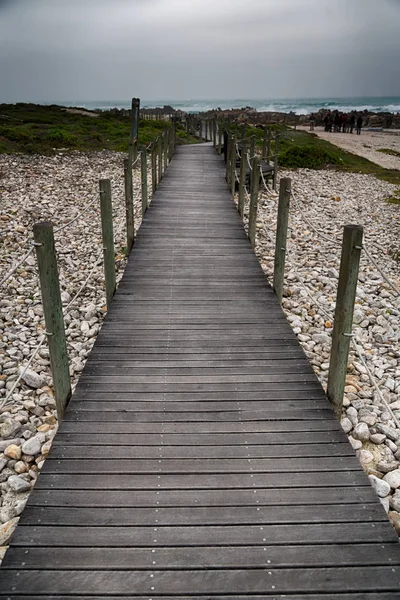 In south  africa beach walkway  near indian ocean — Stock Photo, Image