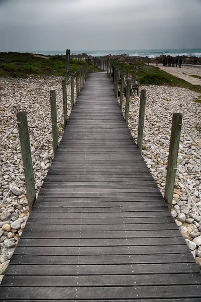 Na praia da áfrica do sul passarela perto do oceano indiano — Fotografia de Stock