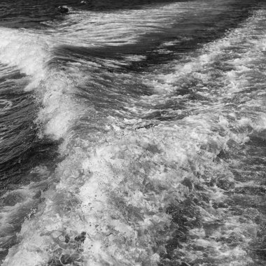 Pasifik Okyanusu arka plan bulanıklık 