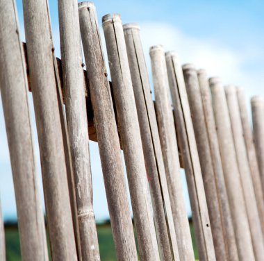 bir bulutlu gökyüzü çok bambu stick doğal çit için