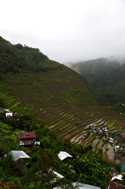   coultivation pirinç Teras alanı   