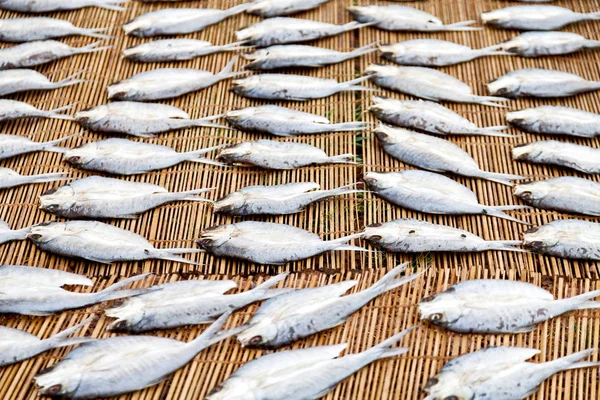 Mnóstwo ryb solonych i suchej przygotowania do rynku — Zdjęcie stockowe
