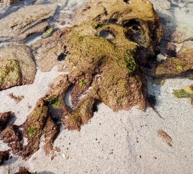  Güney Afrika gökyüzü okyanus yedek olarak