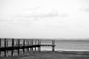  Güney Afrika tabiatı ve İskelesi