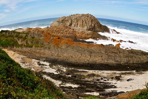 In south africa   sky  ocean       reserve — Stock Photo, Image