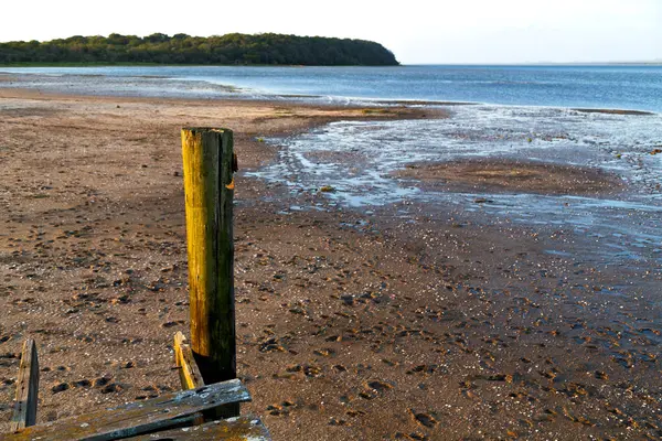 En la reserva natural y muelle de Sudáfrica — Foto de Stock