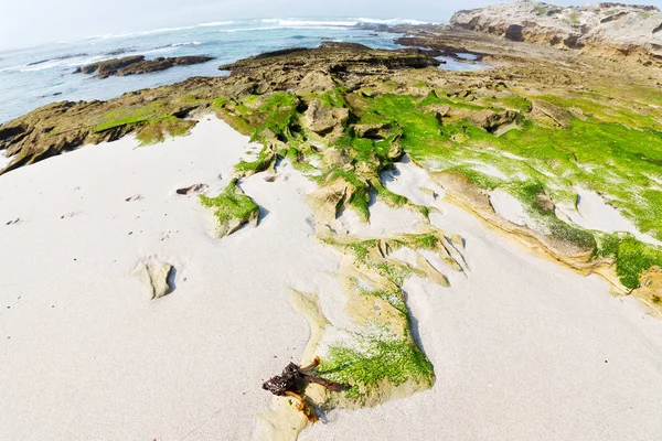 In Sudafrica riserva oceanica del cielo — Foto Stock