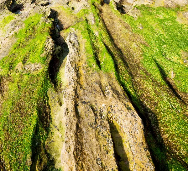 Im südafrikanischen Sky Ocean Reserve — Stockfoto