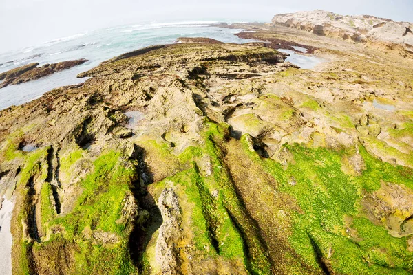 En Afrique du Sud ciel océan réserve — Photo