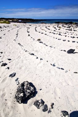  lanzarote Adası beyaz plaj sarmal siyah kayalar 