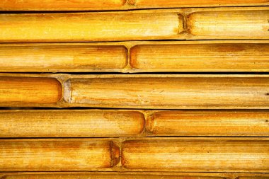 Tayland soyut çapraz bambo Güney Çin Denizi