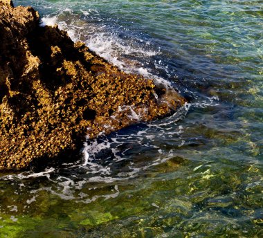 Umman sahil şeridi denizde okyanus Körfez rock ve plaj gökyüzü sakin ol