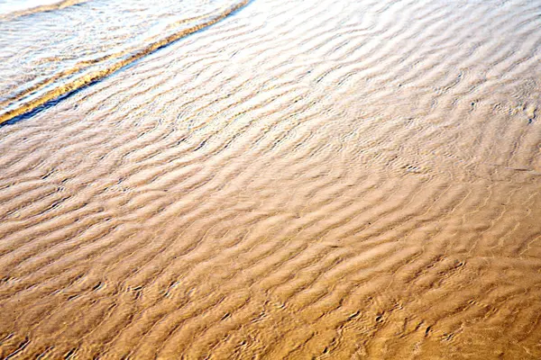 Dune morocco áfrica costa molhada perto do oceano — Fotografia de Stock