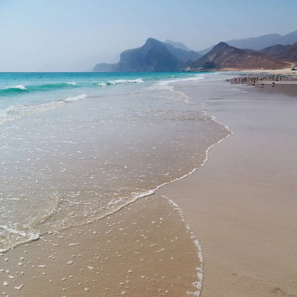 In oman Arabische Zee de heuvel in de buurt van zandstrand hemel en berg — Stockfoto