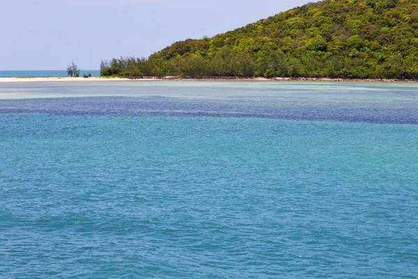 Costa de baía de uma árvore de lagoa verde — Fotografia de Stock