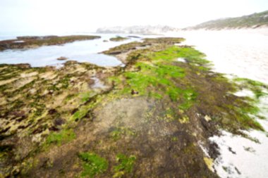  Güney Afrika gökyüzü okyanus yedek olarak