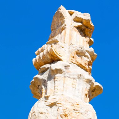 İran persepolis