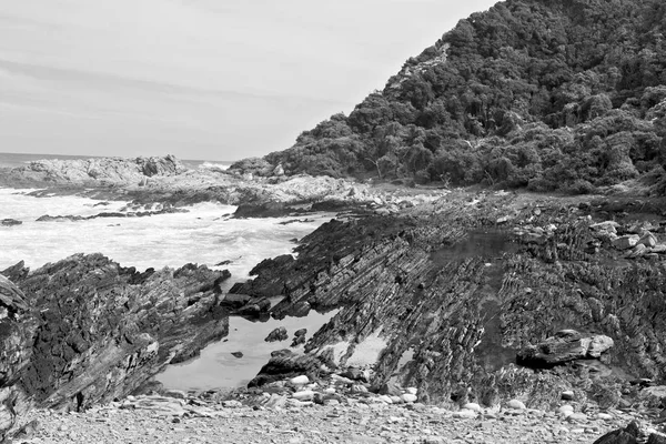 In south africa   sky  ocean      reserve — Stock Photo, Image