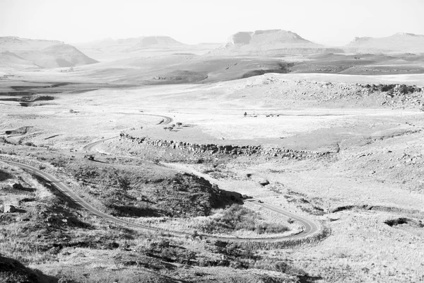 In Südafrika Land Busch und Baum — Stockfoto