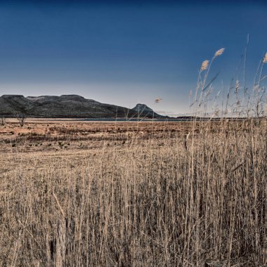  Güney Afrika ıssızlık vadisinde  
