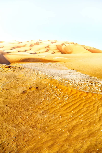 В старій пустелі — стокове фото
