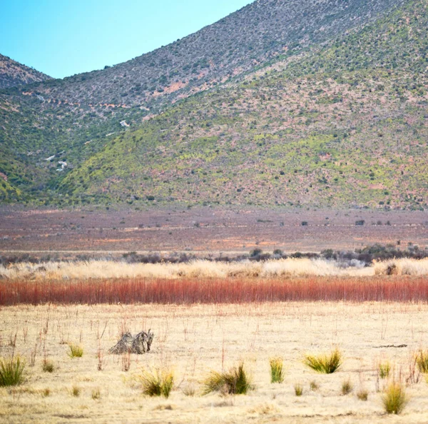 Na África do Sul vale da desolação — Fotografia de Stock