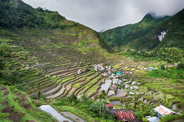 Terrassenfeld für Reisanbau — Stockfoto
