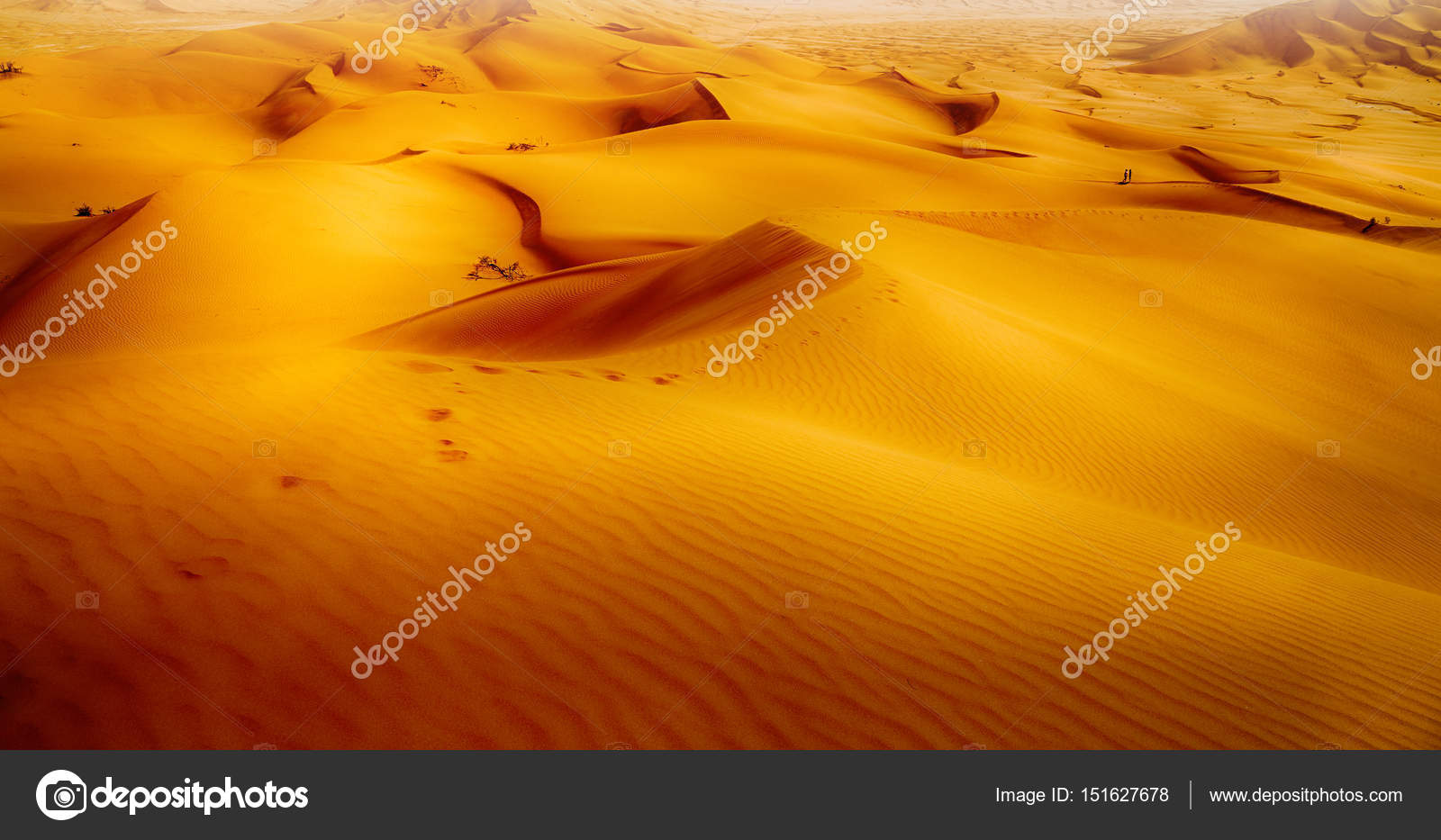 ルブアルハリ砂漠写真素材 ロイヤリティフリールブアルハリ砂漠画像 Depositphotos