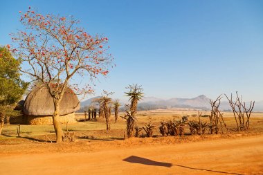   Svaziland yaban hayatı doğa rezerv 
