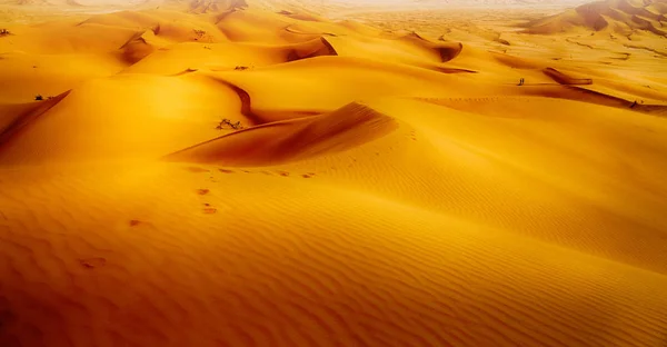 In oman old desert  rub al khali the empty  quarter and outdoor — Stock Photo, Image