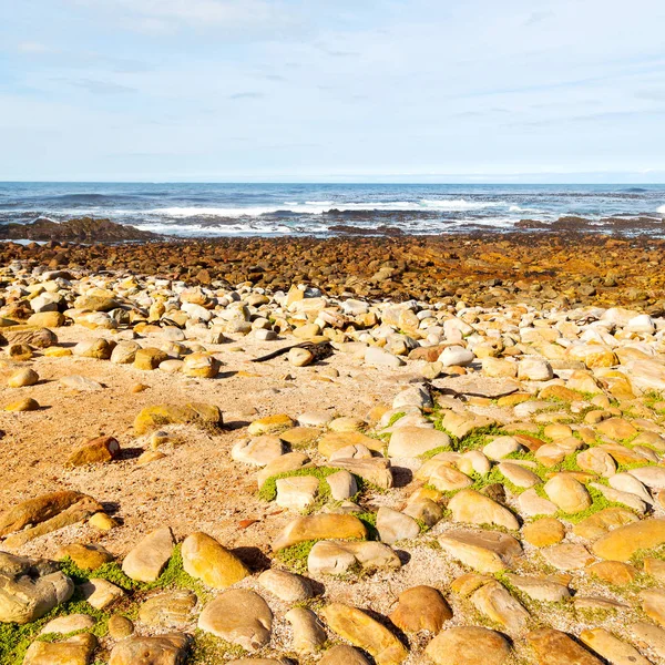 In Zuid-Afrika kustlijn en natuurpark reserve — Stockfoto