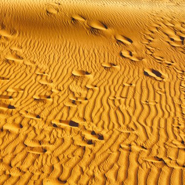 Umman eski çöl ve boş çeyrek soyut doku l