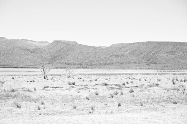 В южно-африканской долине запустения — стоковое фото