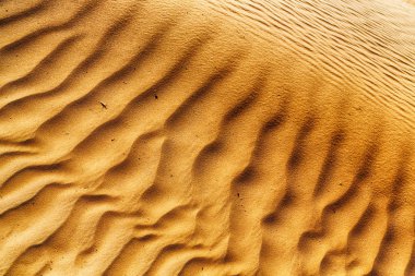 Umman eski çöl ve boş çeyrek soyut doku l