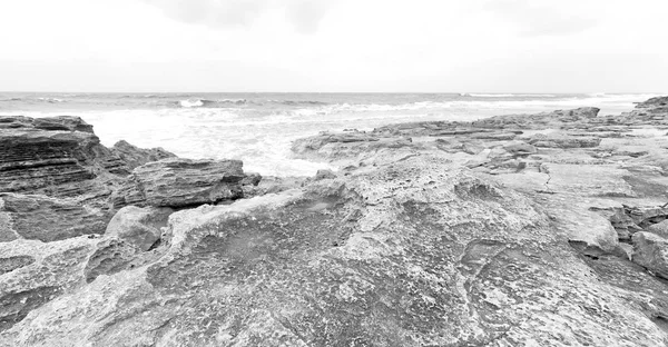 In south africa   sky ocean  nature    reserve — Stock Photo, Image