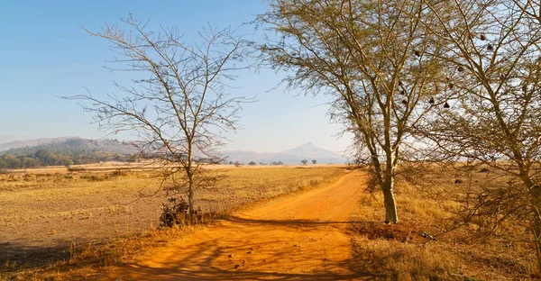 Na reserva natural de vida selvagem da Suazilândia — Fotografia de Stock