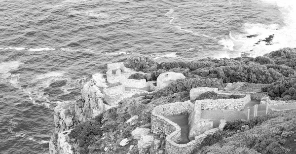 En la costa sudafricana y reserva de parques naturales —  Fotos de Stock