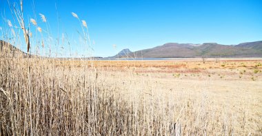  Güney Afrika ıssızlık vadisinde  