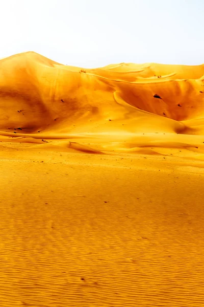 In oman vecchio deserto strofinare al khali il quartiere vuoto e s all'aperto — Foto Stock