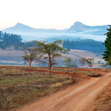   Svaziland yaban hayatı doğa rezerv 