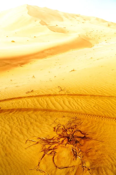 Dans le vieux désert oman — Photo