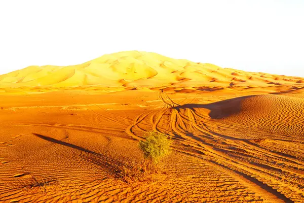 Dans oman vieux désert frotter al khali le quartier vide et en plein air — Photo